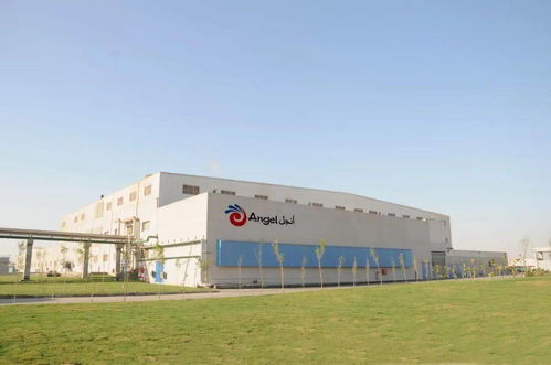 展商推介丨安琪 自然醇厚 鮮味升級