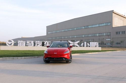 海馬的自我救贖