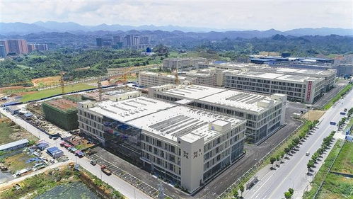 恩施電子 強勢崛起