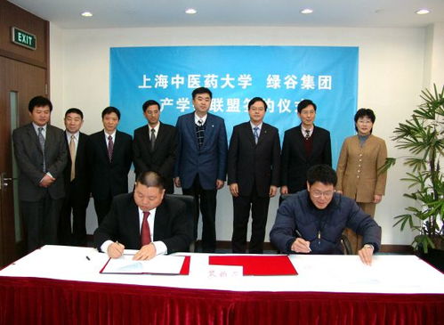 綠谷集團的綠谷沿革