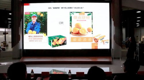 千乘杯 博興縣首屆電商產品包裝創(chuàng)意設計大賽頒獎典禮舉行