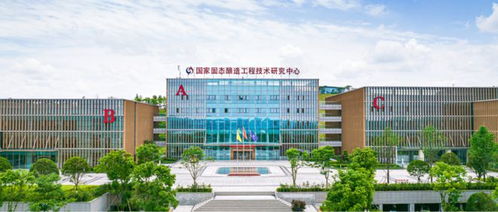 榮耀再出發,瀘州老窖1952堅守濃香自信,續寫中國名酒榮光