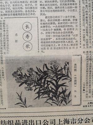 文匯報1985年7月13日我國將建博士后科研流動站,晉江假藥案的前前后后引出教訓,上海建立上海師范?？茖W校和上海幼兒師范?？茖W校,司徒達宏獨奏音樂會,上海中藥一廠人參蜂皇漿生產照片,虹口東興菜館 丁世華照片,陶瓷工藝美術師陳榮明側記附照片及照片,上海港水上消防史話,張溪國畫《夾竹桃郭德潔女士之死,》