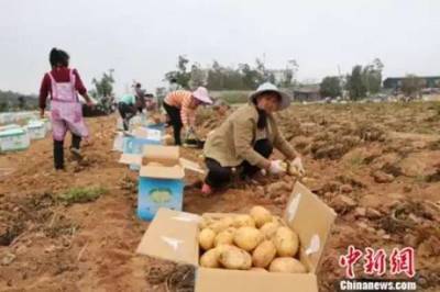 【觀點交鋒】竟有高校成立“龍蝦學院”!網友:我能一口氣念到博士后